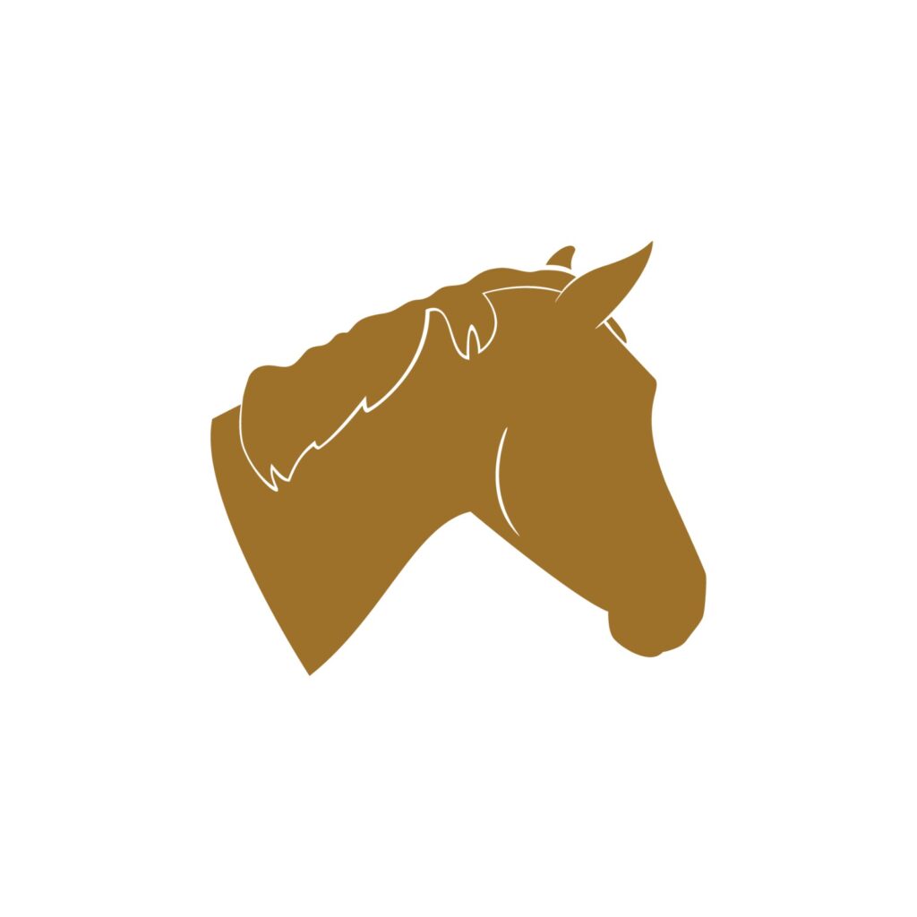 Balade a cheval
